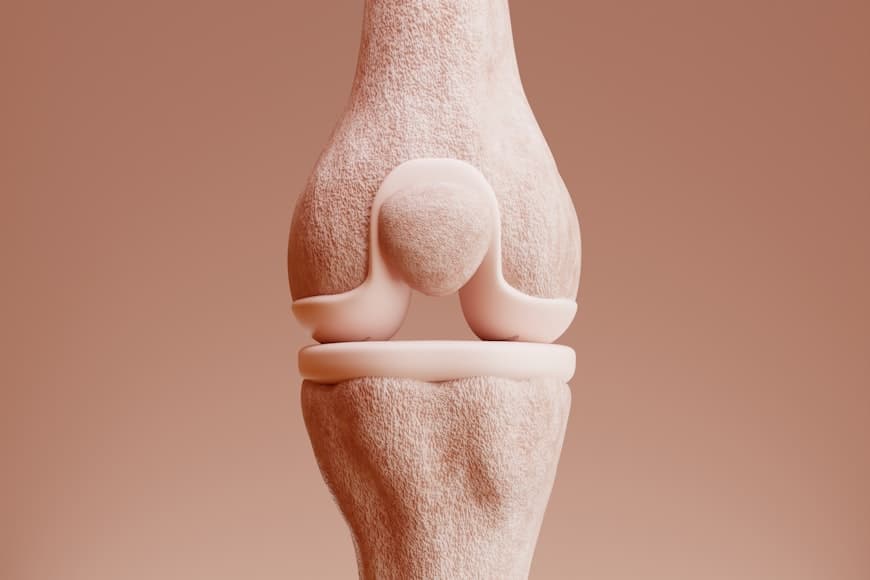 Body